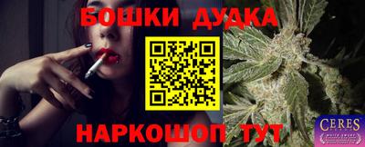 спиды Ливны