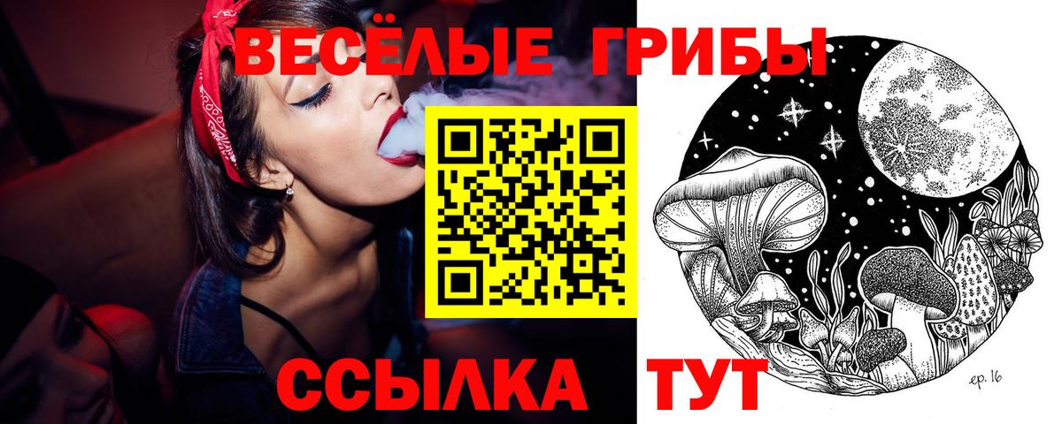 Псилоцибиновые грибы MAGIC MUSHROOMS  Псилоцибиновые грибы Magic Shrooms  Вход с VPN  Зеленодольск 