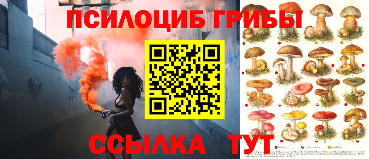 Галлюциногенные грибы Magic Shrooms Зеленодольск